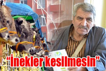 “Lütfen inekleri kesmeyin”