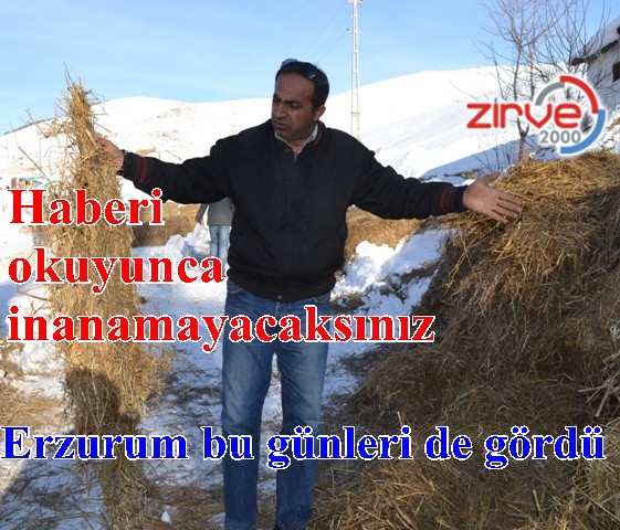 Ot ve saman ithal ediyoruz