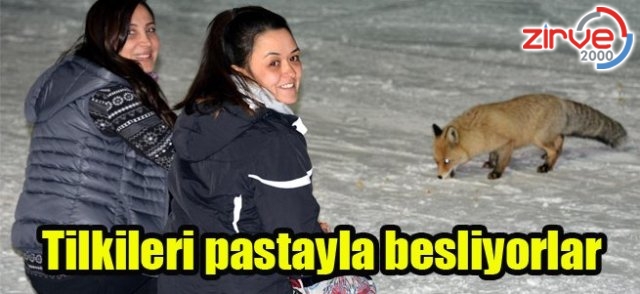 “Dişisi ‘Karamel’, erkeği ‘Hırçın’