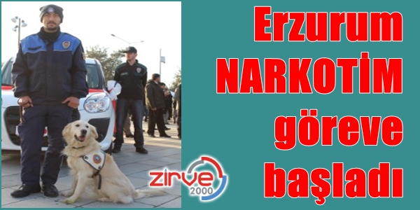 Uyuşturucuya geçit yok