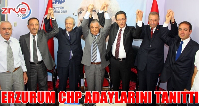 İşte CHP adayları…