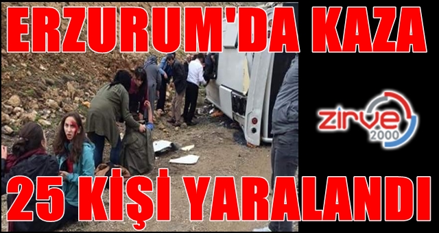 Yolcu midibüsü devrildi