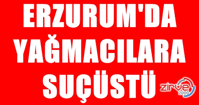 Suçüstü yakalandılar