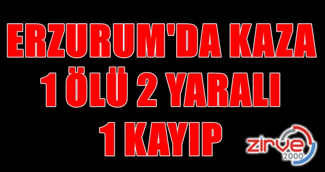 Otomobil nehre uçtu