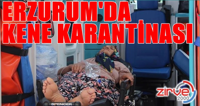 Kene kabusu geri döndü