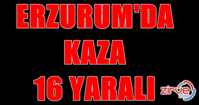 Minibüs dereye uçtu