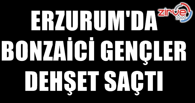 Araç taşladı, adam yaraladılar