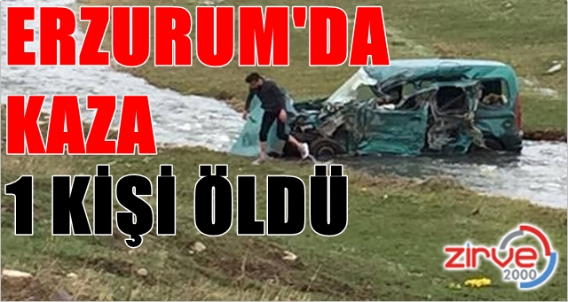 TIR otomobili biçti
