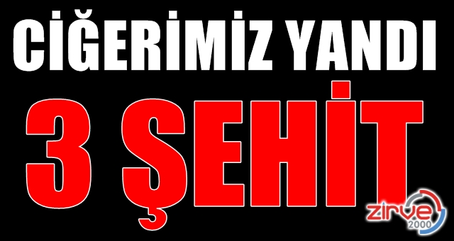 3 şehit 4 yaralımız var