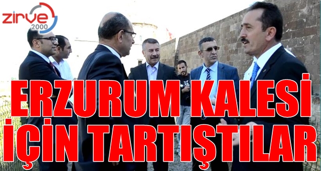 Restorasyon tartışması