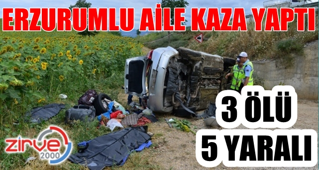 Otomobil takta attı