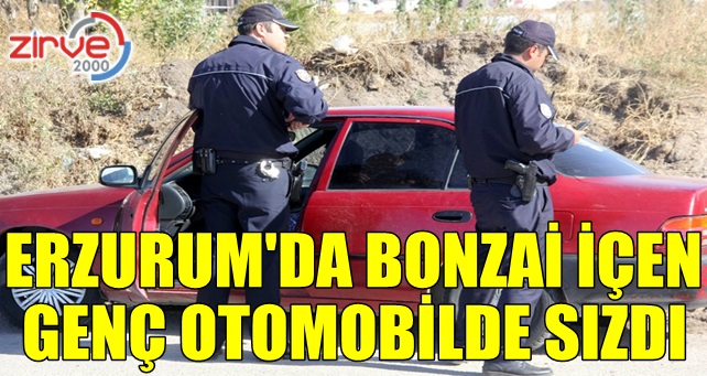 Bonzai içti, sızdı…