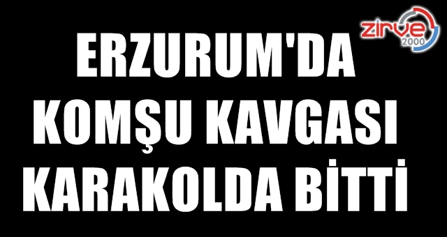 Gelin kaynana komşuyu dövdü