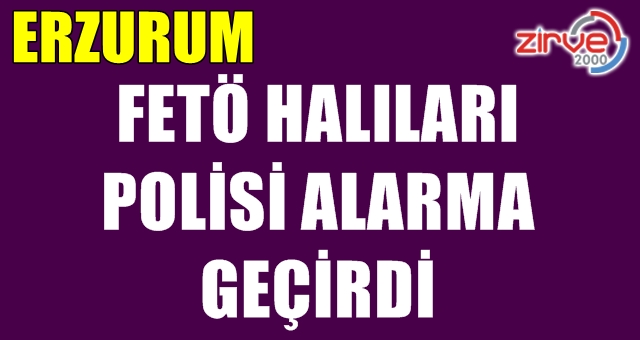 Halıları çöpe attılar