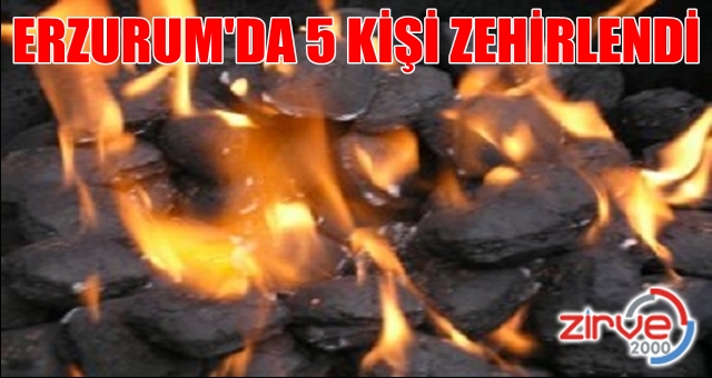 Sobadan sızan gaz zehirledi