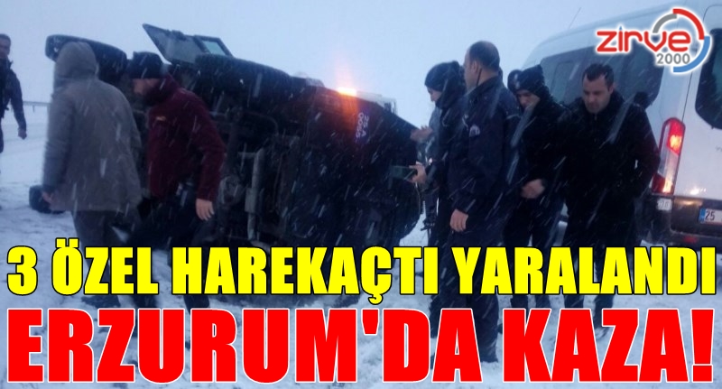 Buzlu yolda devrildi