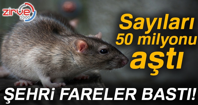 Sayıları 50 milyonu aştı