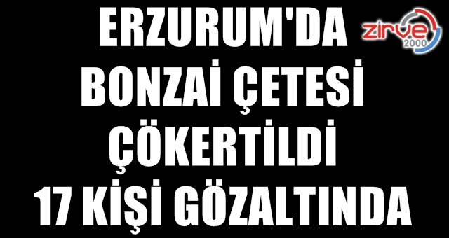 Piyasaya süreceklerdi