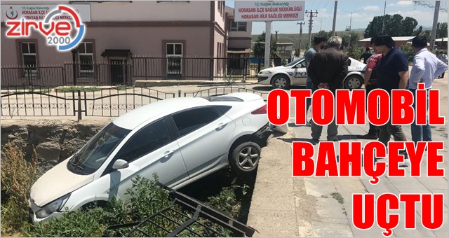 Hızını alamadı bahçeye uçtu