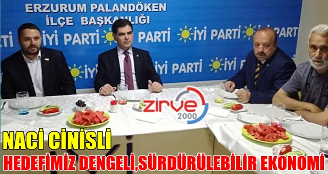 Cinisli ekonomiyi anlattı