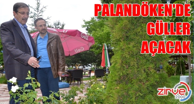 Palandöken rengarenk