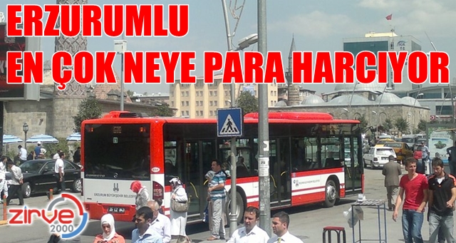 İşte Erzurumlunun harcama listesi