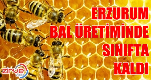 Hani en ballı ildik…