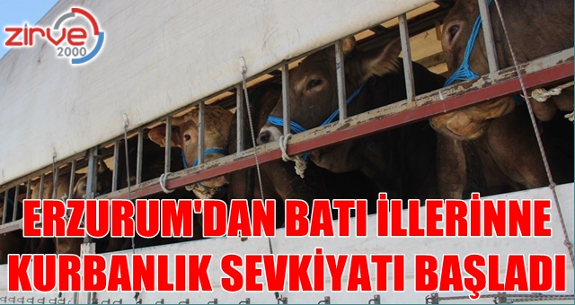 Kurbanlar yola çıktı