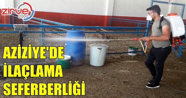 Mahalleler ilaçlanıyor