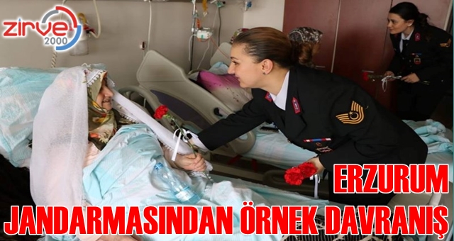 Jandarmadan örnek davranış