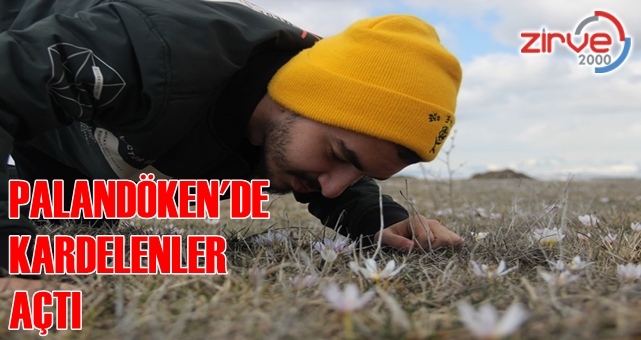Palandöken eteklerinde kardelenler açtı