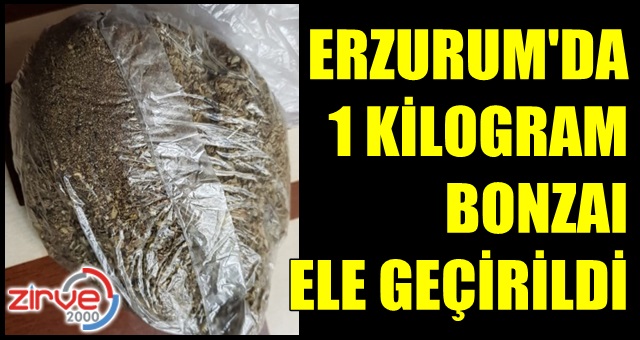 Erzurum’da 1 kilogram bonzai ele geçirildi