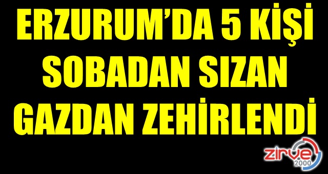 Erzurum’da 5 kişi sobadan sızan gazdan zehirlendi