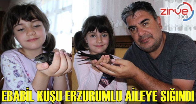 Karacan ailesine sığındı