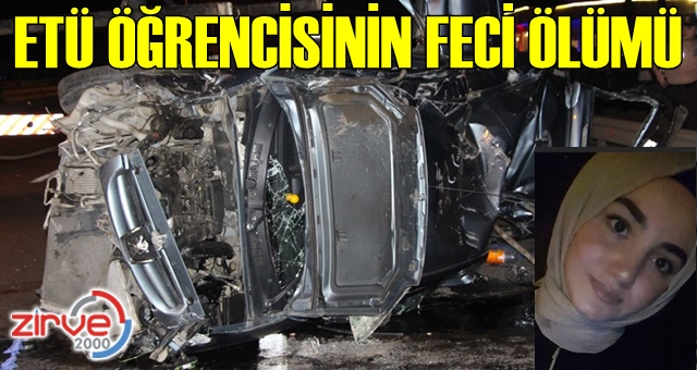 Feci kaza!