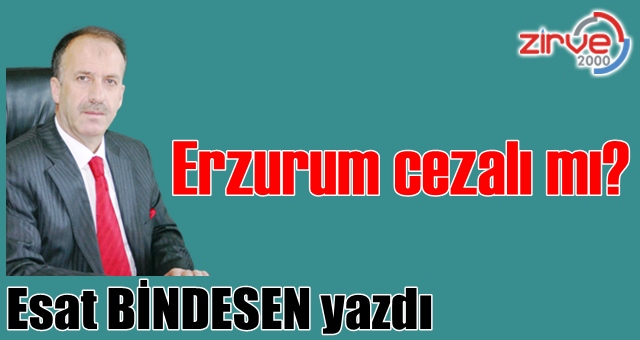 Erzurum cezalı mı?