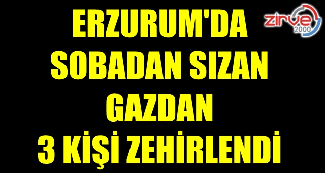 Sobadan sızan gazdan zehirlendiler