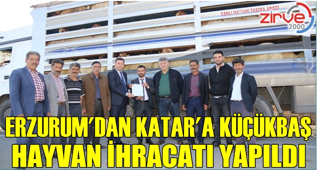 Erzurum’dan Katar’a küçükbaş hayvan ihracatı