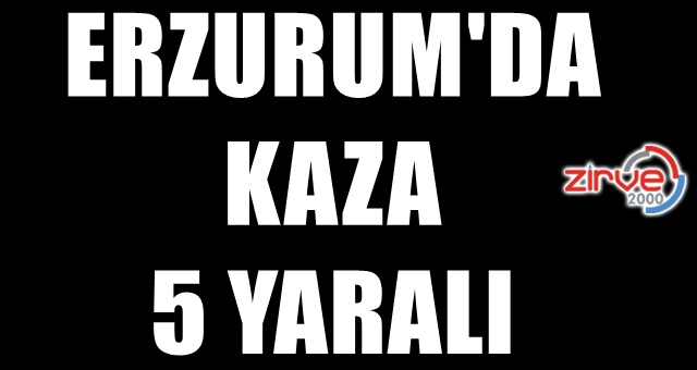 Otomobil şarampole  yuvarlandı