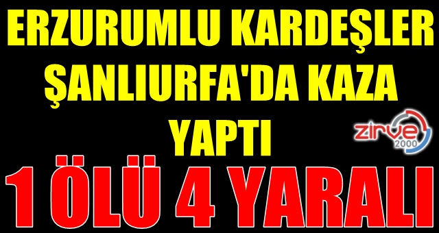 Erzurumlu kardeşler kaza yaptı