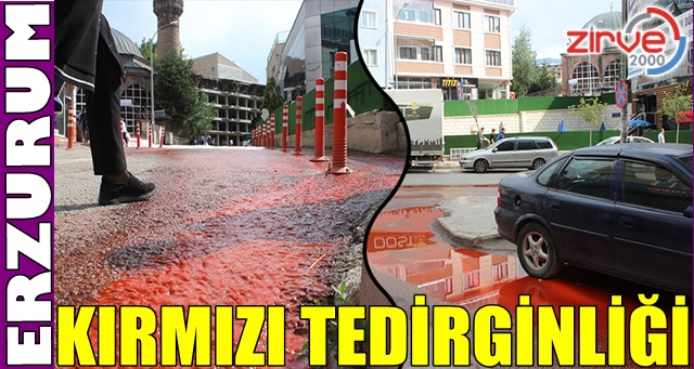Görenler tedirgin oldu
