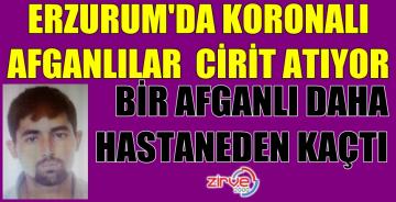 Mareşal’dan kaçan kaçana