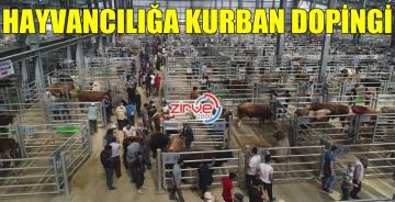 KURBANLIKLARIN YÜZDE 99’U SATILDI