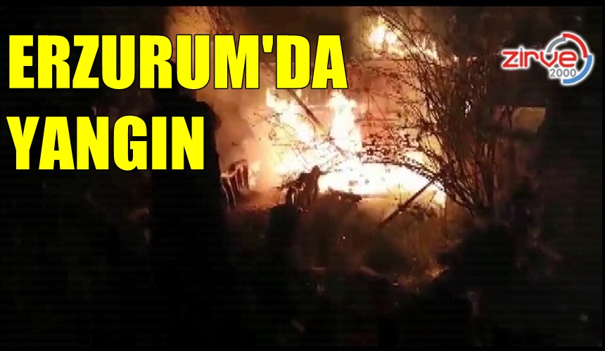 MANGAL YAKTI SÖNDÜRMEDEN GİTTİLER