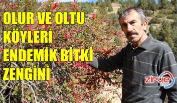 900’DEN FAZLA BİTKİ VAR