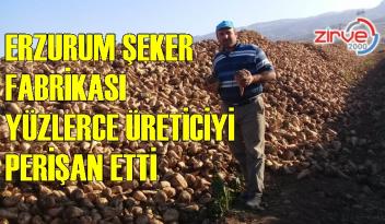 MİLYONLARCA LİRA ZARAR ETTİLER