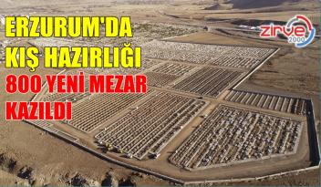 800 MEZAR HAZIR