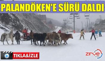 PALANDÖKEN’İN SÜRPRİZ MİSAFİRLERİ