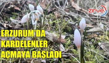 ŞUBAT’IN GÜLLERİ