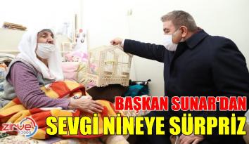 Başkan Sunar, kedisi kaybolan Sevgi nineye muhabbet kuşu hediye etti